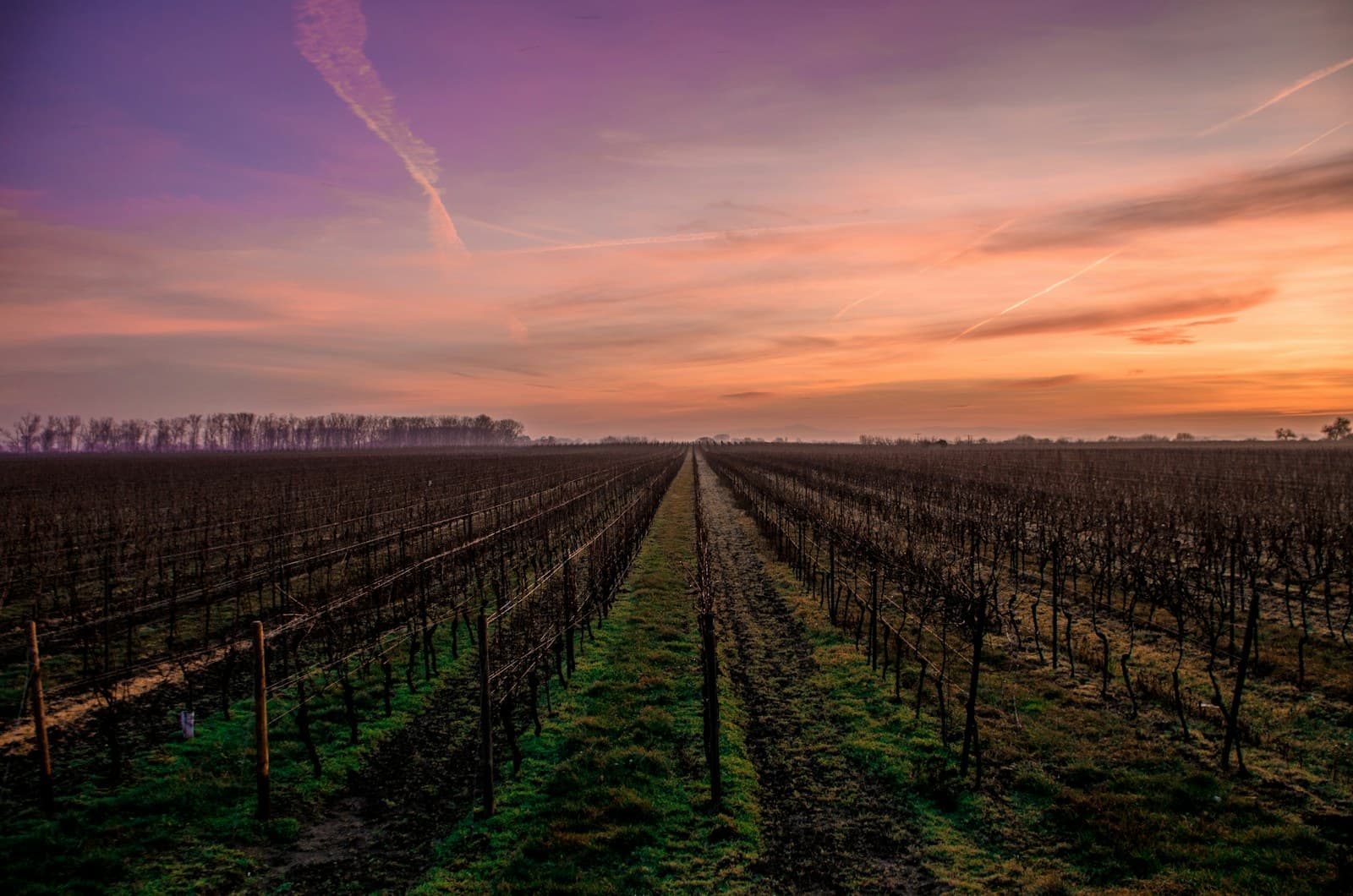 Bordeaux