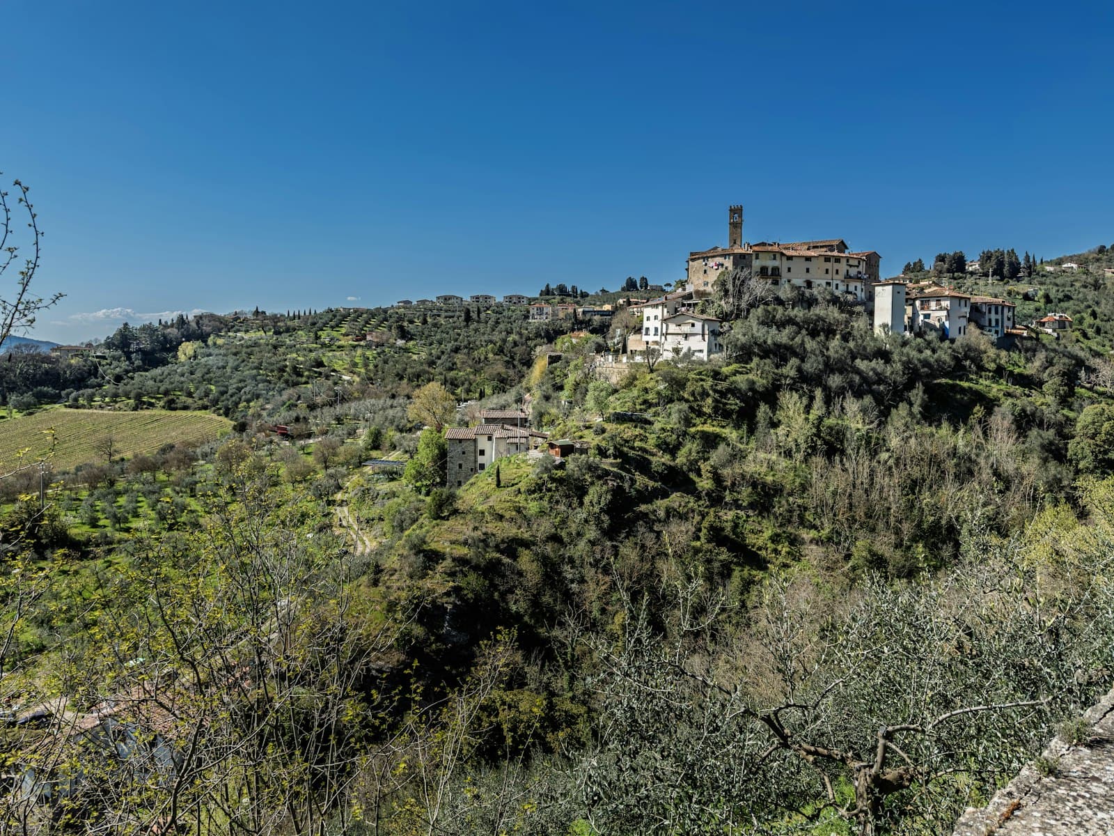 Stone village in Puglia under olive trees at golden hour.