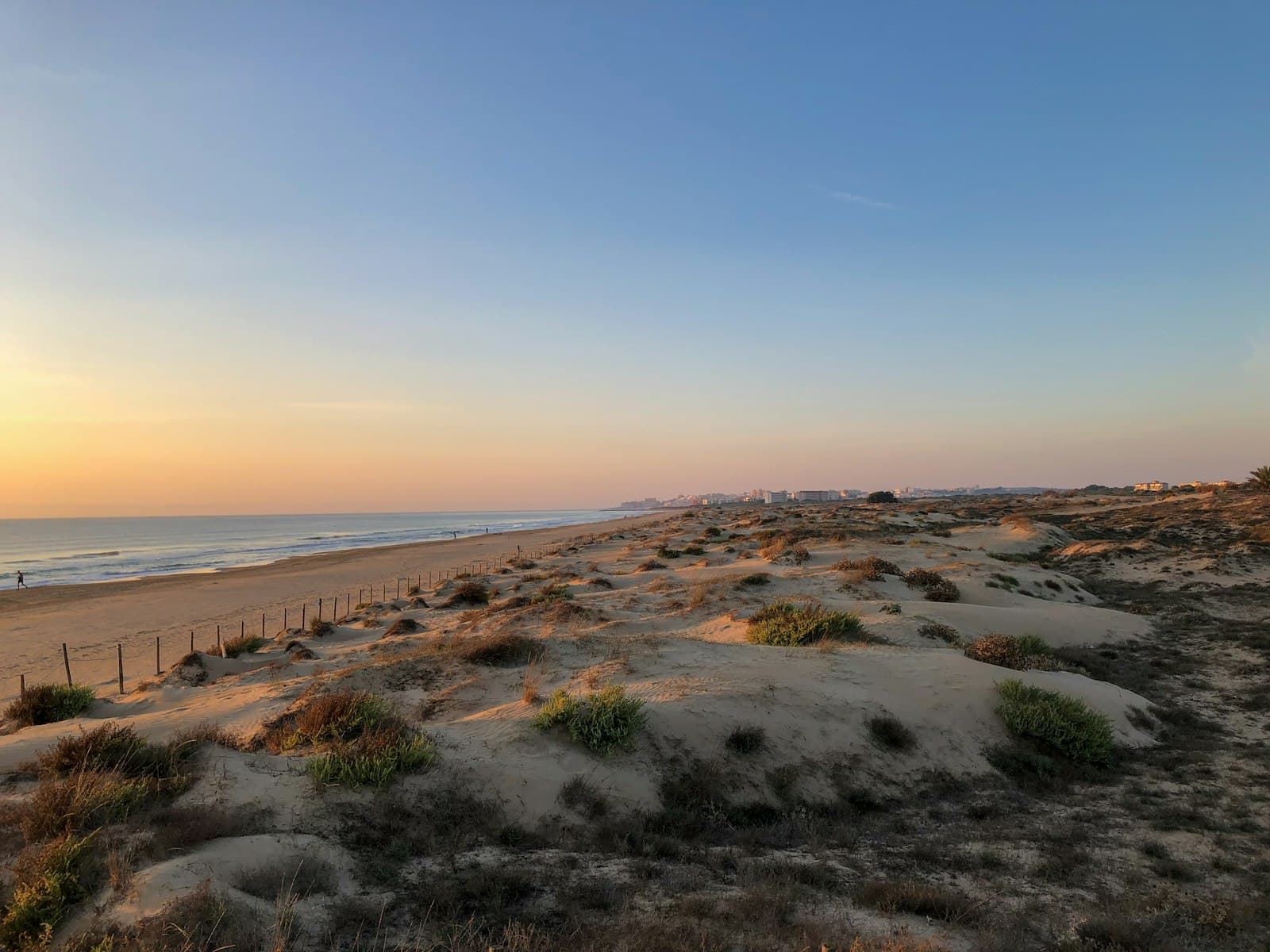 Atlantic dunes at golden hour, a single boardwalk leading to the sea.